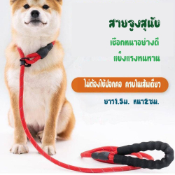 สายจูงสุนัขแบบคล้องคอ