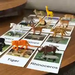 เกมจับคู่สัตว์มอนเตสซอรี่