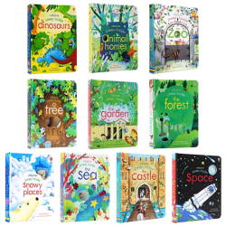 หนังสือภาษาอังกฤษสำหรับเด็ก ชุด Peep inside