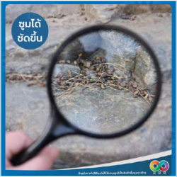 แว่นขยาย ยี่ห้อ RBS สีดำ